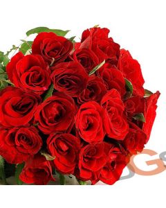20 Red Roses BOQ017