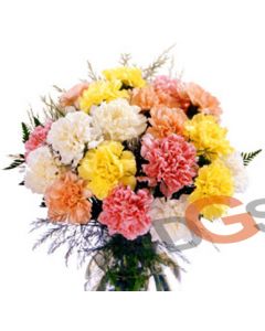 Dozen Carnations BOQ024