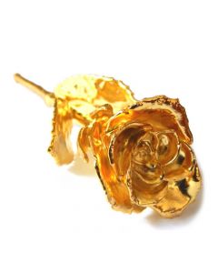 Gold Plated Rose is a Symbol of Love