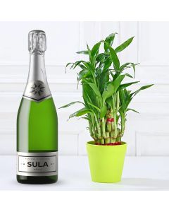 Product Details:

Two Layer Lucky Bamboo Plant - Upto 5 inches.
A bottle of branded champagne.