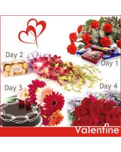 4 Days Valentine Love Serenade SRND02