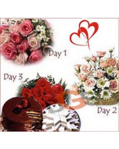 3 Days Valentine Serenade SRND08
